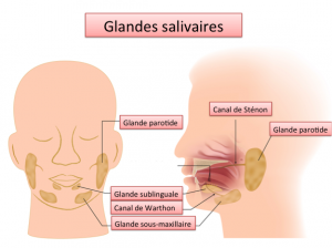 Chirurgie des glandes salivaires